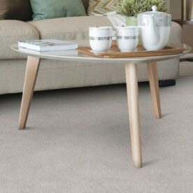 living room carpet and coffee table