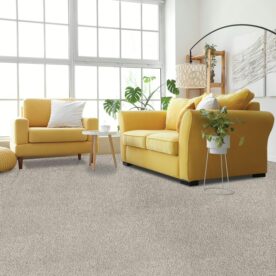 carpet with yellow couches