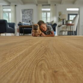 boy and dog detail on laminate floor